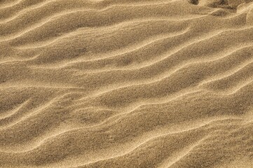 Wall Mural - texture of sand, photo picture digital image , in maspalomas, gran canaia