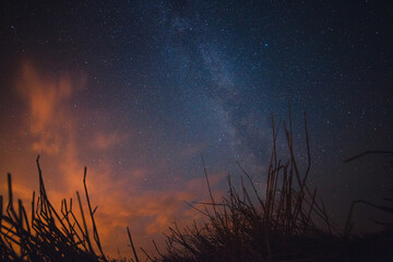 starry night in the field