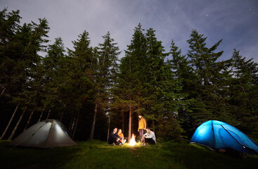 friends having a rest around a campfire between tourist illuminated tents amid powerful firs under a