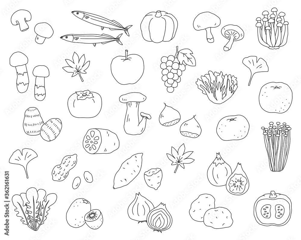 秋の味覚の手書きのイラストのセット 食欲の秋 シンプル おしゃれ Fototapety 秋の味覚の手書きのイラストのセット 食欲の秋 シンプル おしゃれ Fototapety