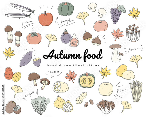 秋の味覚の手書きのイラストのセット 食欲の秋 シンプル おしゃれ Stock Illustration Adobe Stock 秋の味覚の手書きのイラストのセット 食欲の秋 シンプル おしゃれ Stock Illustration Adobe Stock