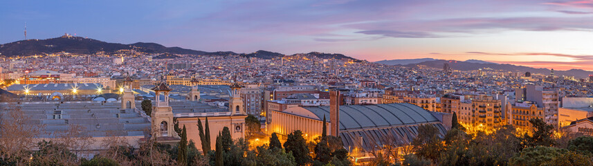 Wall Mural - Barcelona - The panorama of the city  at the dusk.