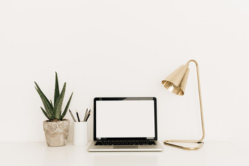 Laptop with blank copy space screen on white table with golden lamp and aloe plant. Minimal home office desk workspace with mockup template. Work at home concept.