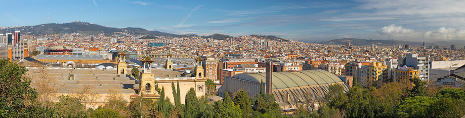 Wall Mural - Barcelona - The panorama of the city in the morning light.