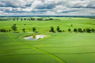 Wall Mural - amazing aerial view of green field in summer