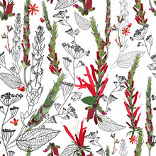 Bright Saturated Seamless Pattern With Red Sage Flowers, Buds, Leaves And Wildflowers. Elements Of Plants And Their Contours, And Silhouettes Are Arranged Randomly. Vector Image On A White Background