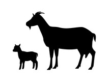Vector Illustration Of Goat With Young Goatling. Silhouettes Of Farm Animals, Domestic Small Cattle Adult And Young.