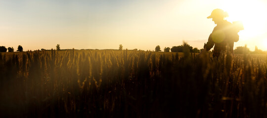 Wall Mural - Silhouette of a woman farmer with a digital tablet in a wheat field. Smart farming and precision agriculture	
