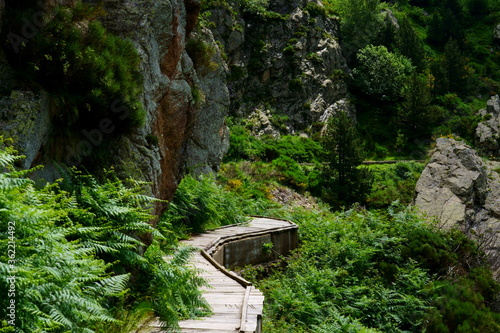 Fotografía Magnificent view of the Freser's canal