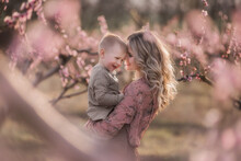 Beautiful Young Blonde Mother With Curly Hair Holding A Little Son In Her Arms In Blooming Gardens At Sunset. Child Care Maternity Concept. Mom Throws The Boy Up, Hugs, Kisses, Touches His Forehead