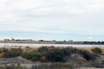 Wall Mural - Marais salants d'Aigues-Mortes 