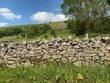 © derek oldfield - A dry stone wall, with fields and trees, in the distance near, Buckden, Skipton, UK