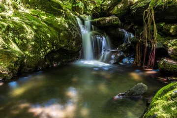 Poster - small waterfall in the forest