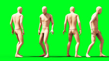 Dummy, Mannequin Isolate On Green Screen. 3d Rendering.