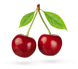 Wall Mural - Cherry isolated on white background