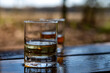 © barmalini - Tasting of scotch single malt whisky from Islay island, most intensely flavoured of all whiskies in Scotland