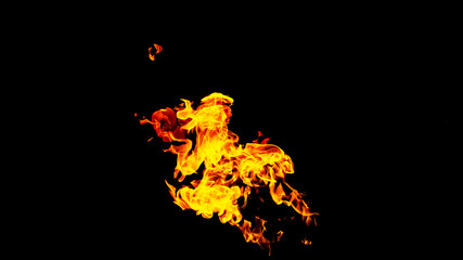 Fire flames on black background isolated. Burning gas or gasoline burns with fire and flames. Flaming burning sparks close-up, fire patterns. Infernal glow of fire in the dark with copy-space