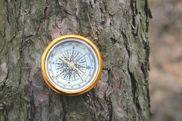 round compass on natural background as symbol of tourism with compass, travel with compass and outdoor activities with compass