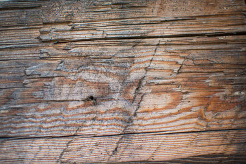 old wood texture