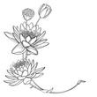 Corner bouquet of outline ornate Lotos or water lily flower, bud and seed pod in black isolated on white background. 