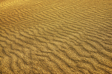  Abstract sand pattern in Sahara Desert, Africa