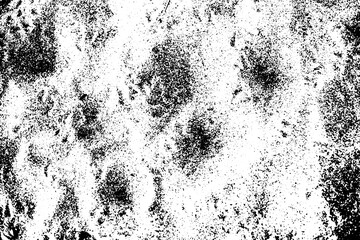 Wall Mural - Faded sandy texture, black and white vector abstraction. Beach sand grungy surface with animal steps