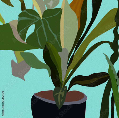 Kompozycja roślin doniczkow...