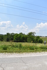 Poster - Roadside Field