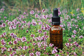 Wall Mural - Dropper bottle of thyme essential oil , thymus serpyllum flowers on meadow outdors. Alternative medicine.