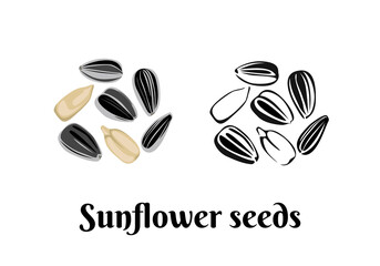 Wall Mural - Sunflower seeds isolated on white background. Vector color illustration of  seed in shell and peeled in cartoon flat style and black and white outline. Organic food Icon.