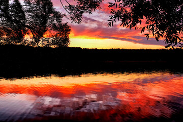 Wall Mural - pink sunset sky over countryside landscape with leaves on branches against rural scenery reflection 