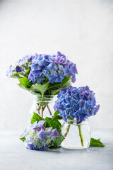 Fotomurales - Amazing blue hydrangea flowers