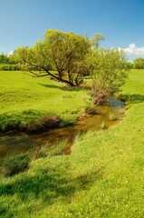 Wall Mural - landscape with river