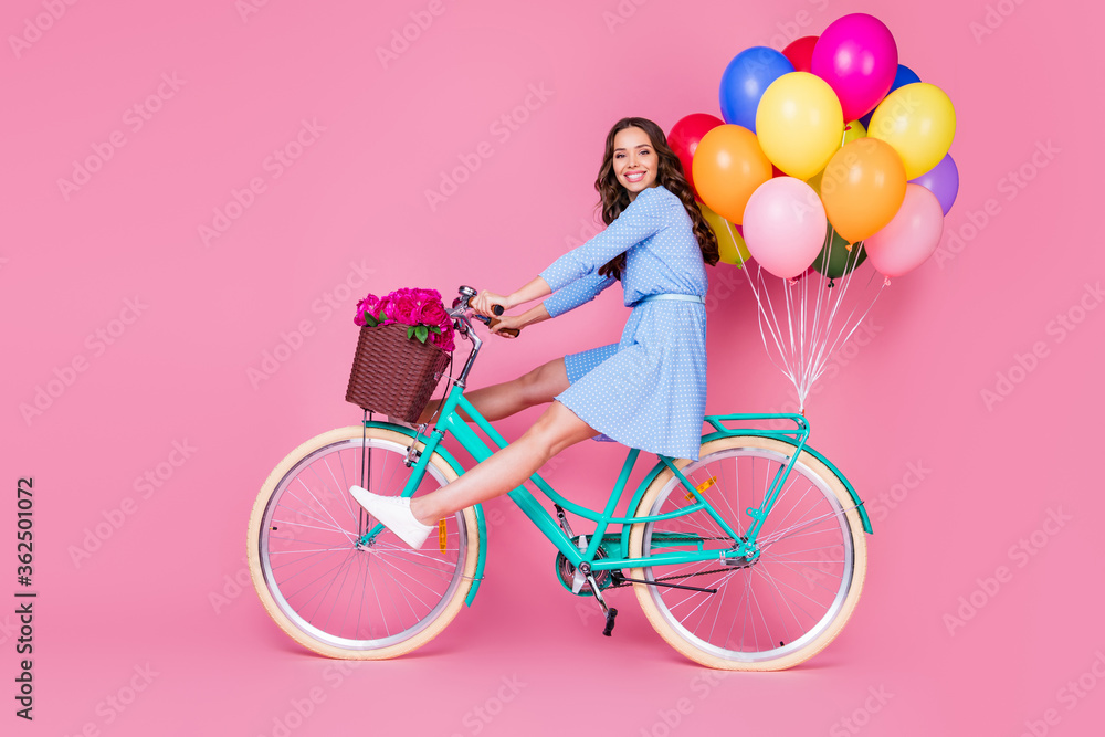 Full length body size profile side view of attractive cheerful cheery wavy-haired lady riding bike without legs delivering decoration event having fun isolated pink pastel color background - obrazy, fototapety, plakaty 