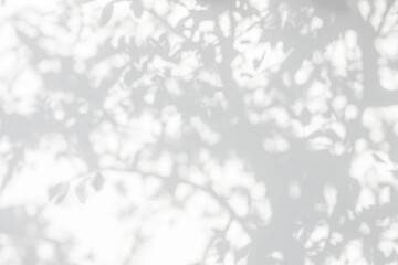 Aufkleber - Leaf shadow and tree branch on wall.  Nature leaves tree branch dark shadow and light from sunlight dappled on white concrete wall t