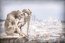 Gargoyle (chimera), Stone Demons With Paris City On Background.