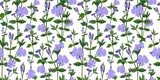 Fototapeta  - Vínca mínor Fritillaria. Pattern for textile and fabric. Little blue flowers on a white background. Periwinkle, cornflower. Wildflowers. Shabby style chic, provence
