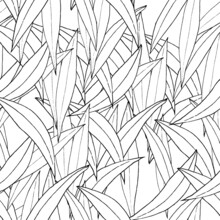 Vector Seamless Pattern, Ink Hand-drawn Leaves On White Background. 
