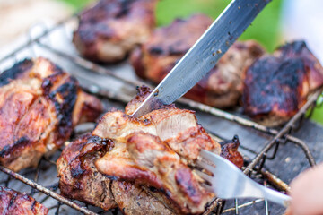 Cooking a barbecue on the fire. Traditional Caucasian kebab on a skewer, cooking meat on skewers. Shish kebab roasting on the grill.