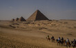 Horse ridding near Giza Pyramids