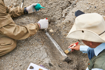 Wall Mural - paleontologists have discovered a fossil in the desert