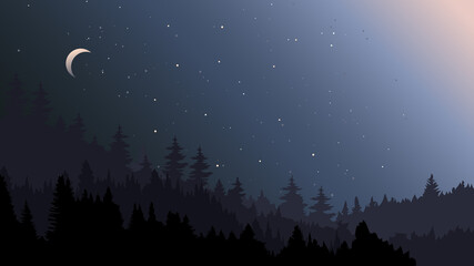 Wall Mural - Forest landscape in the night. Beautiful nature scenery.