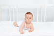 © Any Grant - smiling baby girl 6 months old lying on the bed in the nursery on her stomach and looking at the camera, morning baby, baby products concept