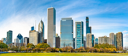 Poster - Skyline of Chicago at Grant Park in Illinois - United States