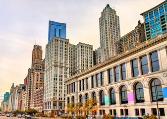 Poster - Historic buildings in Downtown Chicago - Illinois, United States