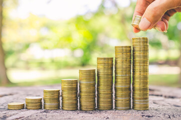 investor business man hand putting money on coins row stack on wood table with blur nature park background. money saving concept for financial banking and accounting.