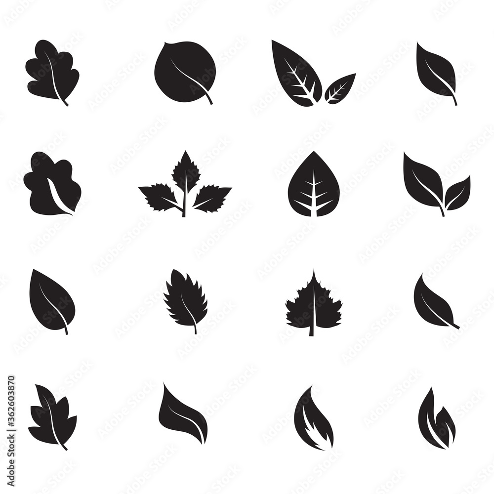 Abstract leaf icon set isolated on white background. Collection of leaf ...