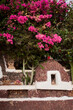 © Joaquin - Traditional oven in a canarian island