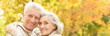 © aletia2011 - Portrait of smiling senior couple in autumn park