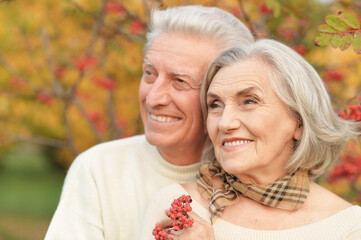 Canvas Print - Beautiful senior couple hugging in the park with rowan berries